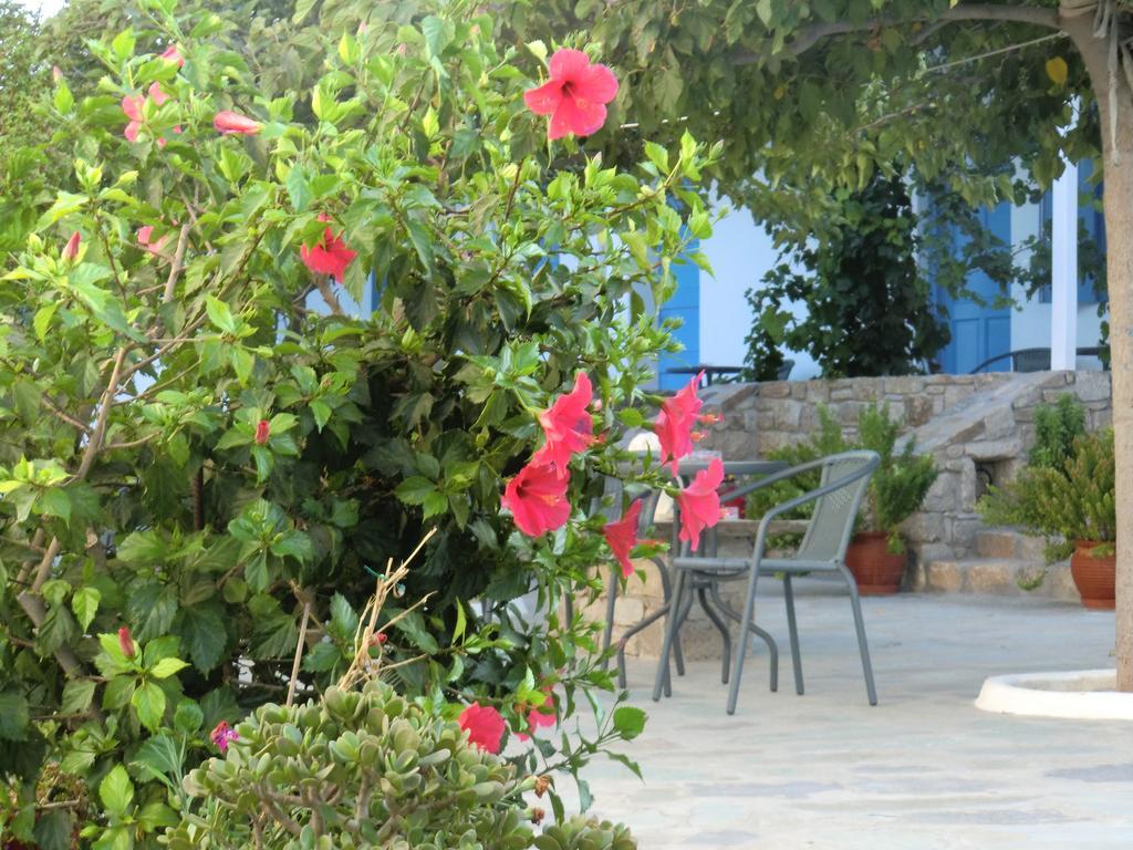 Mykonos Vouniotis Rooms Mykonos Town Buitenkant foto